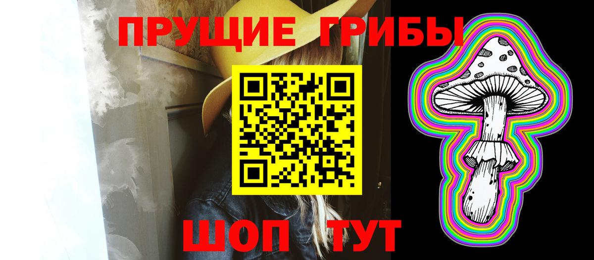Псилоцибиновые грибы Cubensis  Вход с VPN  Мытищи  Псилоцибиновые грибы Psilocybine cubensis 