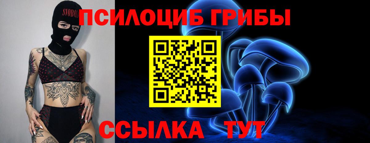 Псилоцибиновые грибы Psilocybe Мытищи